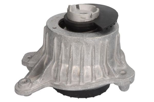 Suport motor REINHOCH RH11-3125