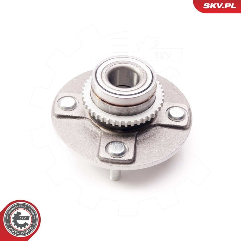 Set rulment roata ESEN SKV 29SKV170