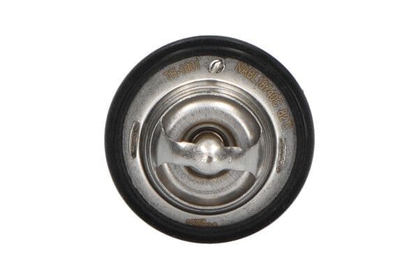 termostat,lichid racire KAVO PARTS TH-1001