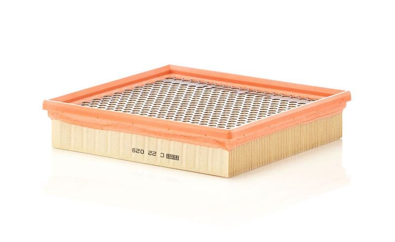 Filtru aer MANN-FILTER C 22 029