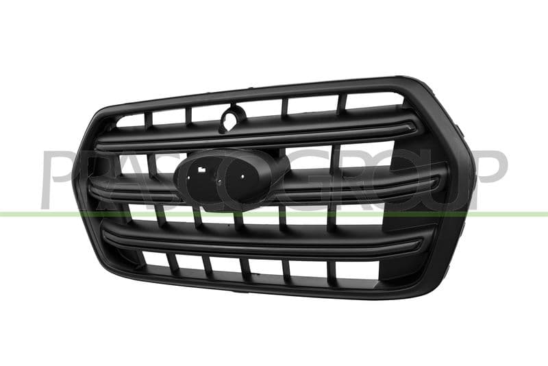 Grila radiator PRASCO FD9502011