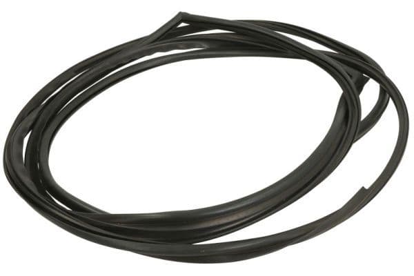 Garnitura, parbriz BLIC 5703-04-6037031Q