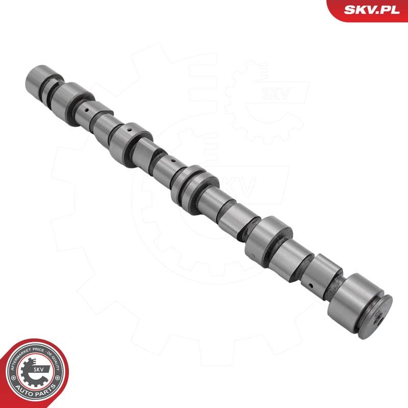 Ax cu came ESEN SKV 80SKV077
