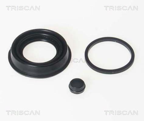garnitura,piston etrier TRISCAN 8170 189922