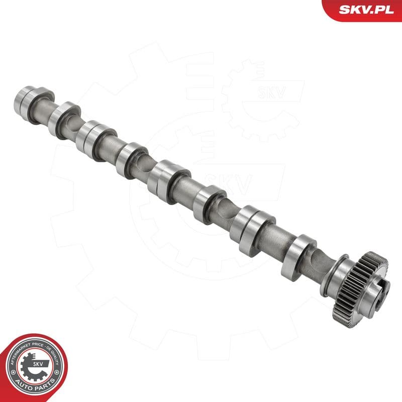 Ax cu came ESEN SKV 80SKV031