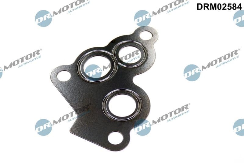 Garnituri, carcasa filtru ulei Dr.Motor Automotive DRM02584