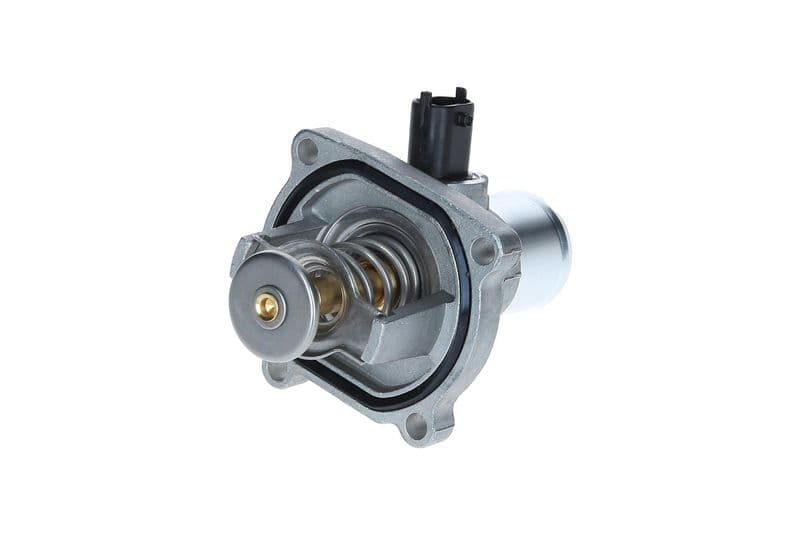 termostat,lichid racire KAMOKA 7710013