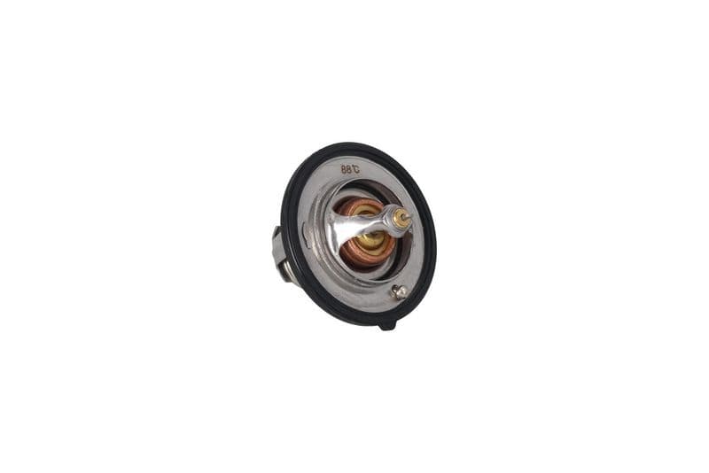 termostat,lichid racire KAMOKA 7710303