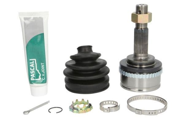 Set articulatie, planetara PASCAL G11030PC