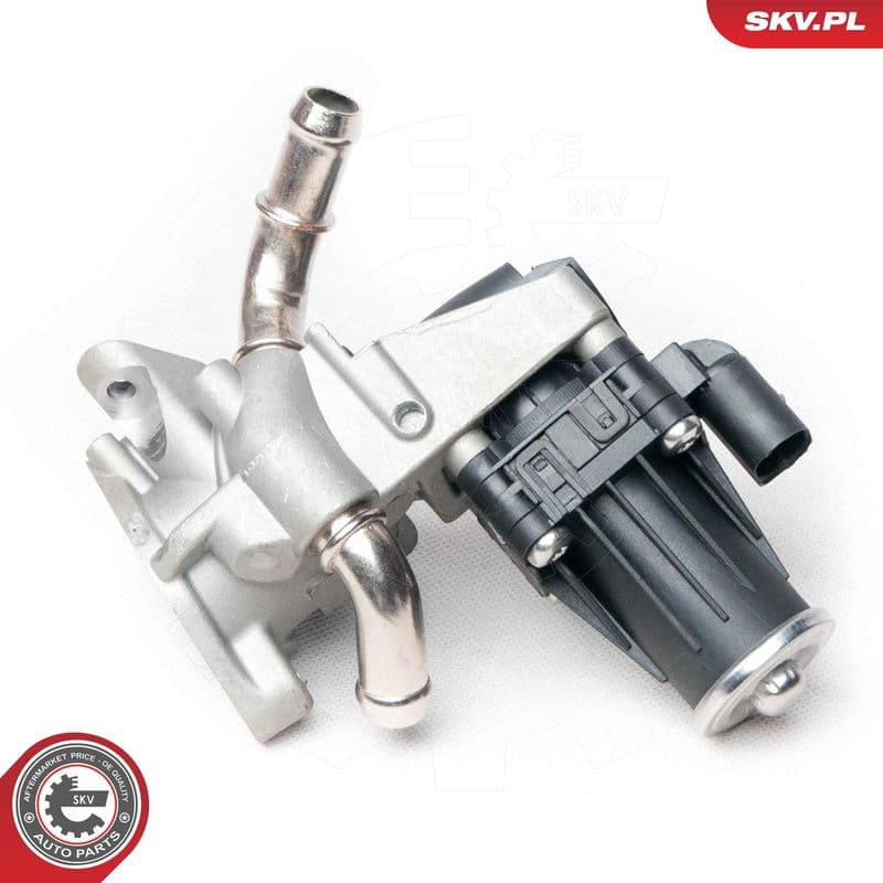 Supapa EGR ESEN SKV 14SKV100