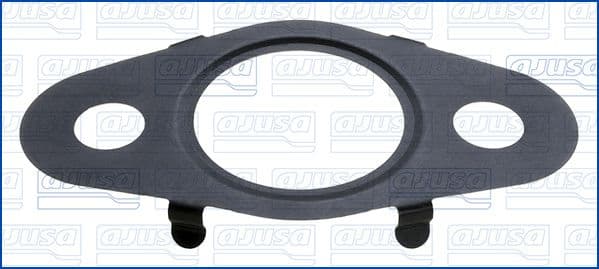 Garnitura, conducta supapa-AGR AJUSA 01666400