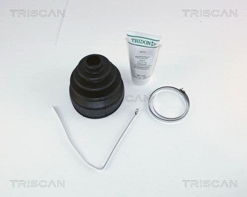 Ansamblu burduf, articulatie planetara TRISCAN 8540 10901