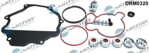 Set reparatie, pompa vacuum (Siste frana) Dr.Motor Automotive DRM0320