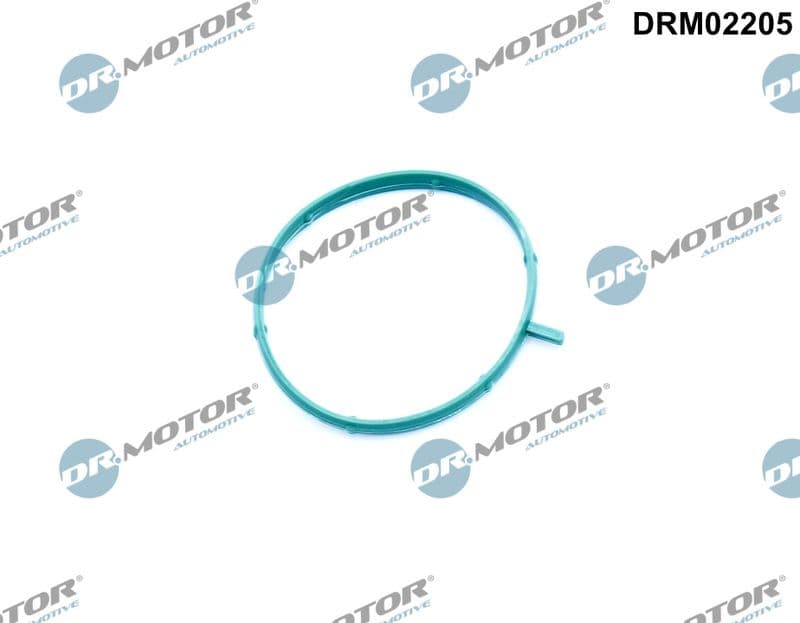 Garnitura, carcasa termostat Dr.Motor Automotive DRM02205