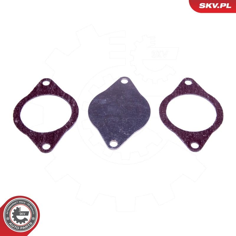 Set de reparație, supapă AGR ESEN SKV 14SKV574