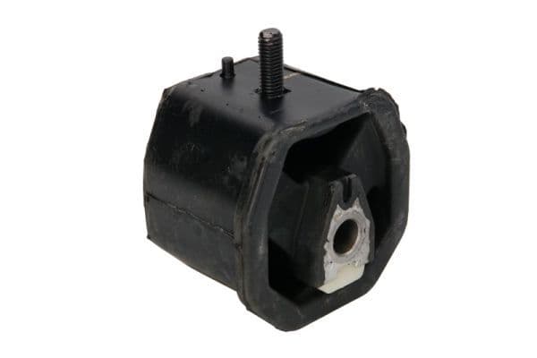 Suport motor REINHOCH RH11-0136