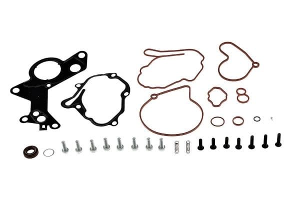 Set reparatie, pompa vacuum (Siste frana) MTR 12176073