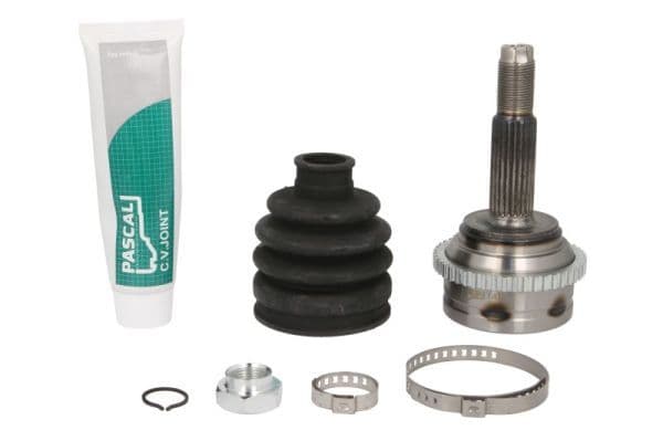 Set articulatie, planetara PASCAL G10018PC