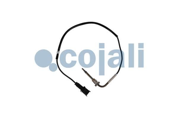 Senzor, temperatura gaze evacuare COJALI 2262016