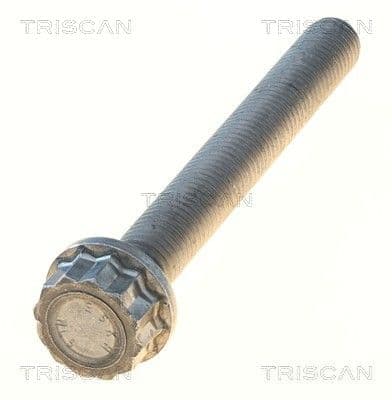 Bolturi fixare, brat suspensie TRISCAN 8501 0528