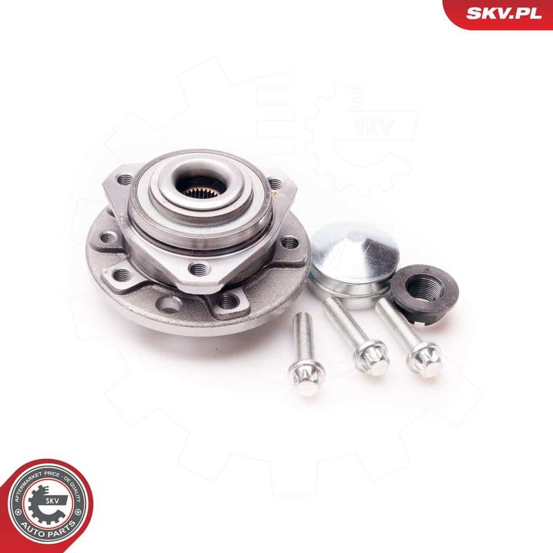 Set rulment roata ESEN SKV 29SKV121