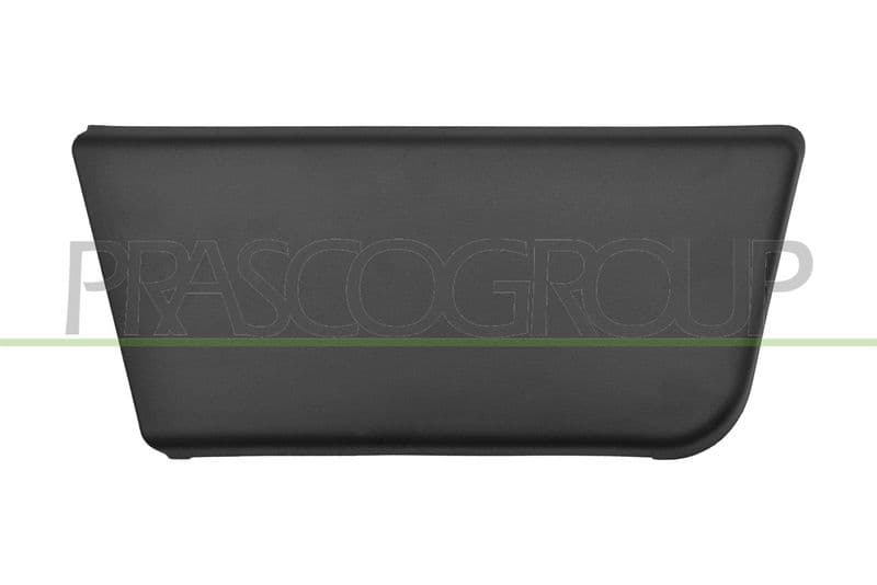 Elemente decorative/protectie, portiera PRASCO FT9301403