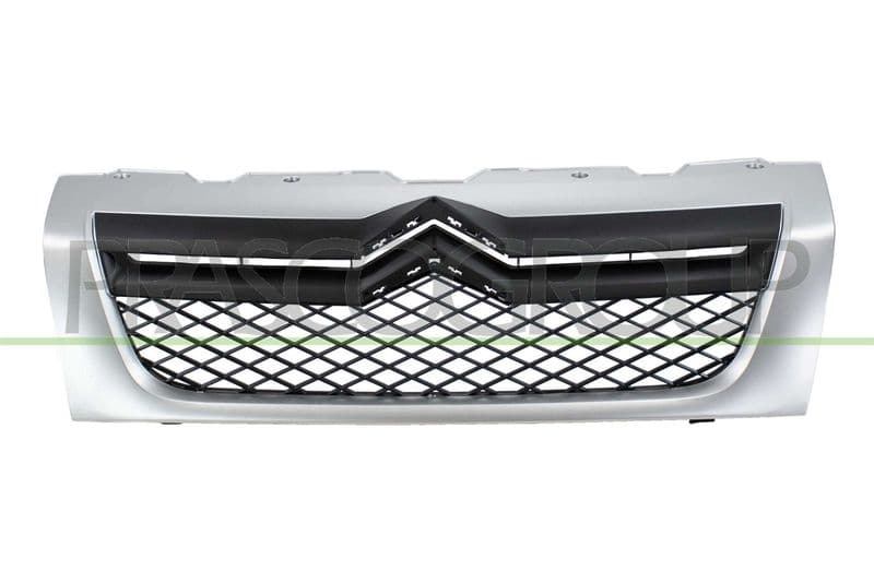 Grila radiator PRASCO CI9542001