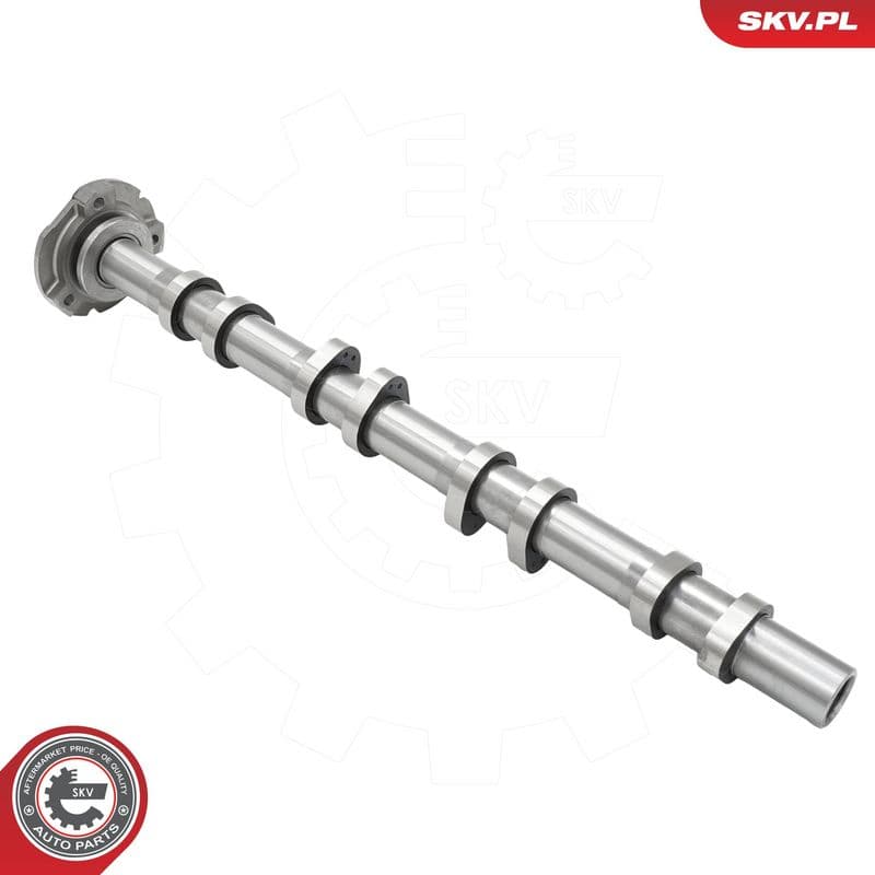 Ax cu came ESEN SKV 80SKV060
