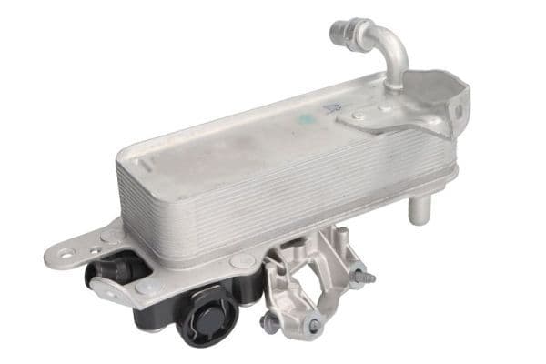 Radiator ulei, ulei motor THERMOTEC D4B041TT