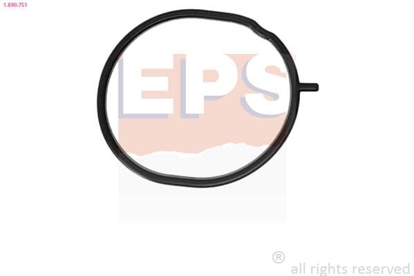 Garnitura termostat EPS 1.890.751