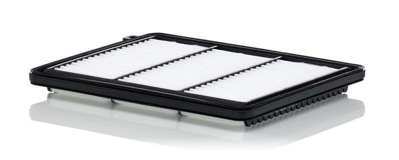 Filtru aer MANN-FILTER C 25 051