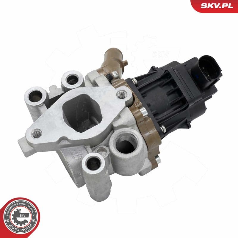 Supapa EGR ESEN SKV 14SKV312
