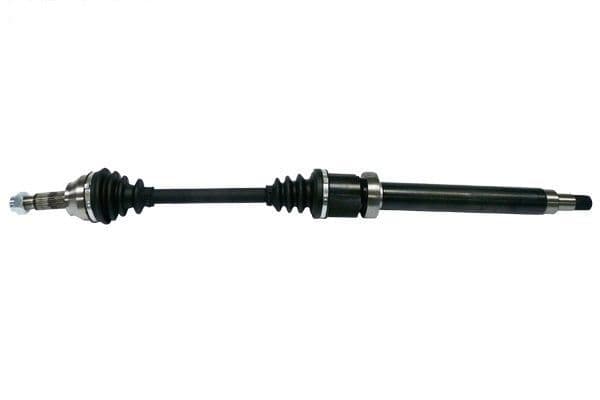 Planetara MTR 13216887