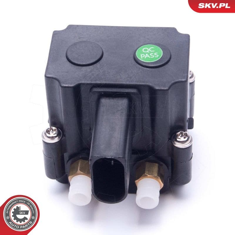 supapa,sistem supraalimentare ESEN SKV 93SKV813