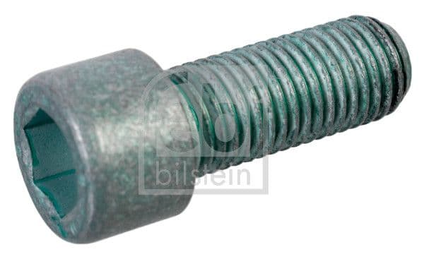 Surub fulie FEBI BILSTEIN 01202