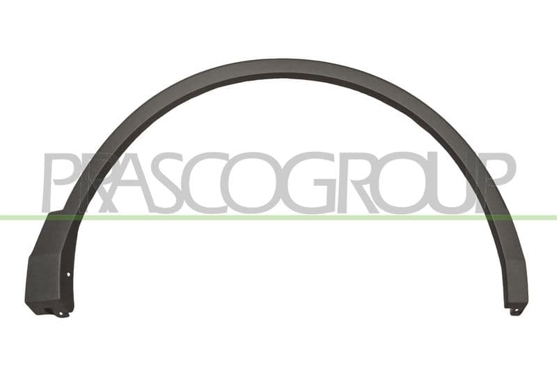 Elemente decorative/protectie, aripa PRASCO VG8101581