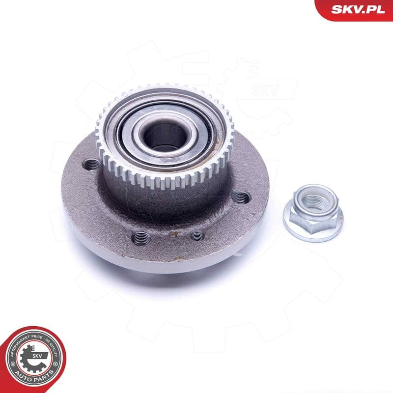 Set rulment roata ESEN SKV 29SKV214