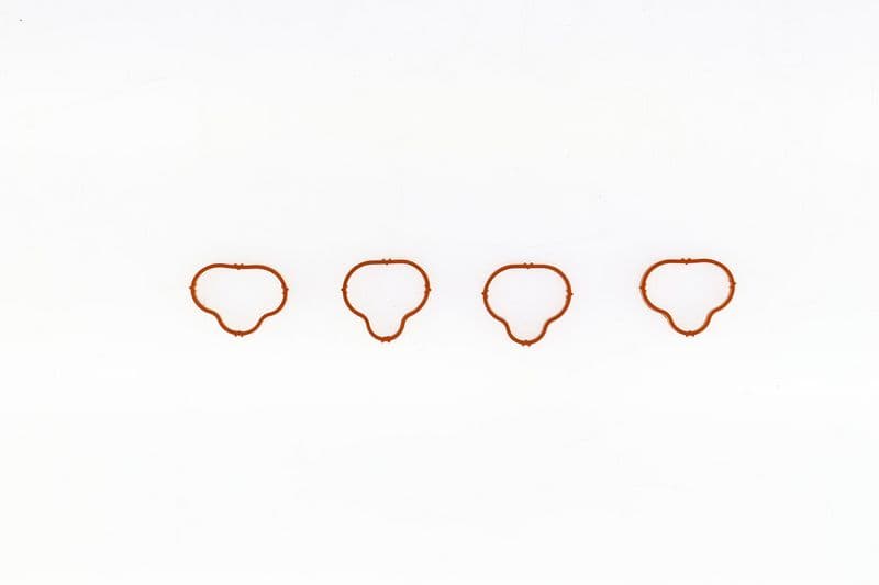 Garnitura, galerie admisie CORTECO 026285H