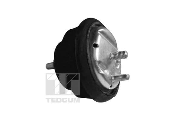 Suport motor TEDGUM 00089778