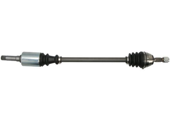 Planetara PASCAL G2C002PC