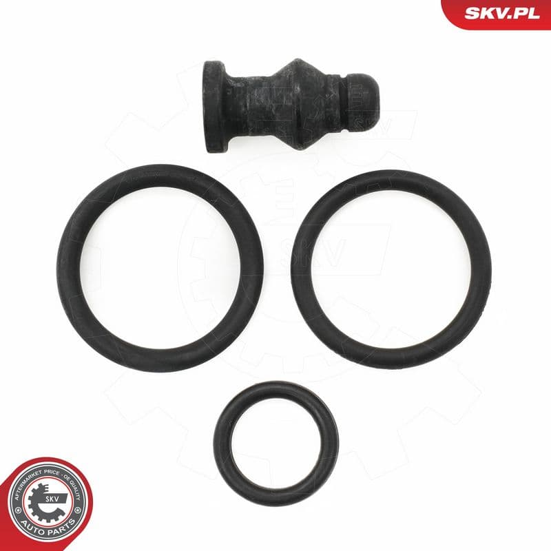 chit reparatie,unitate pompa-diuza ESEN SKV 53SKV197