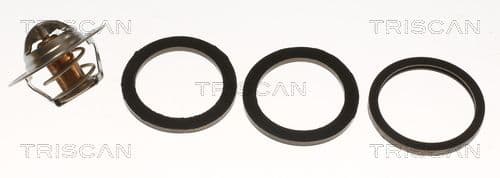 termostat,lichid racire TRISCAN 8620 5488