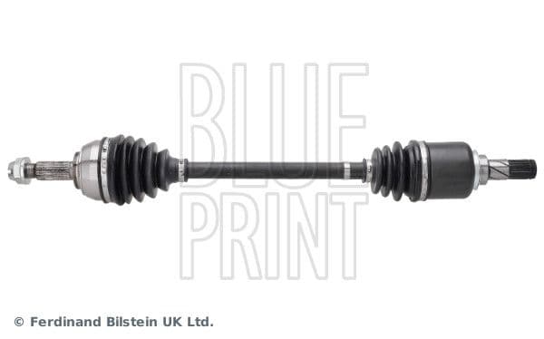 Planetara BLUE PRINT ADBP890015