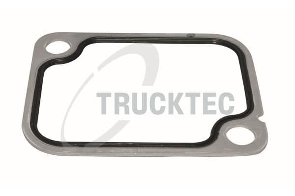 garnitura,teava lichi de racire TRUCKTEC AUTOMOTIVE 01.19.218