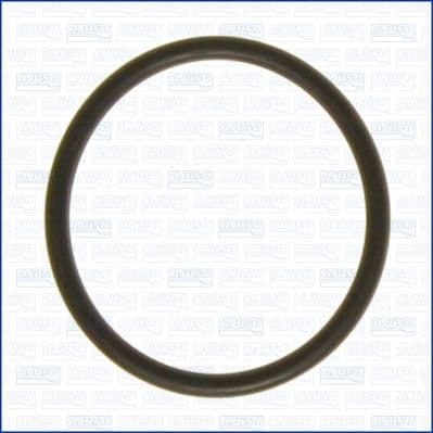 Garnitura termostat AJUSA 16072700