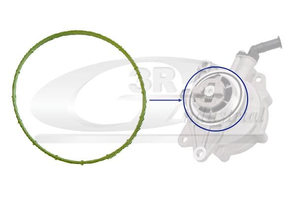 Garnitura, pompa vacuum 3RG 74101