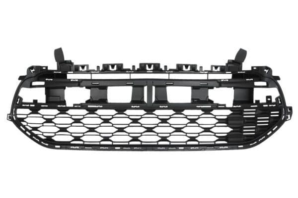 Grila radiator BLIC 6502-07-0538995Q