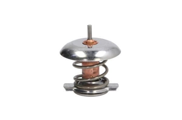 termostat,lichid racire THERMOTEC D2V001TT