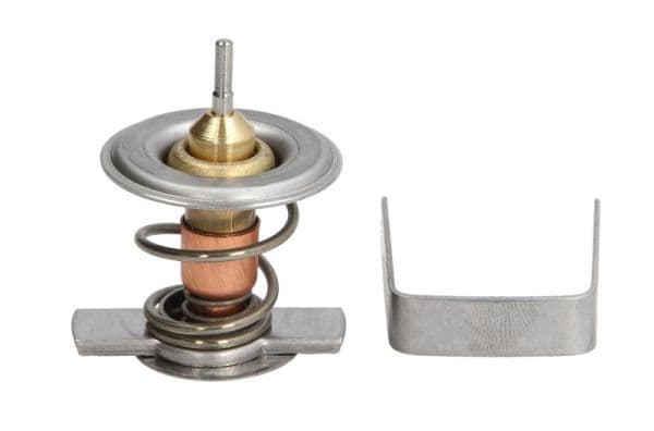 termostat,lichid racire THERMOTEC D2X009TT