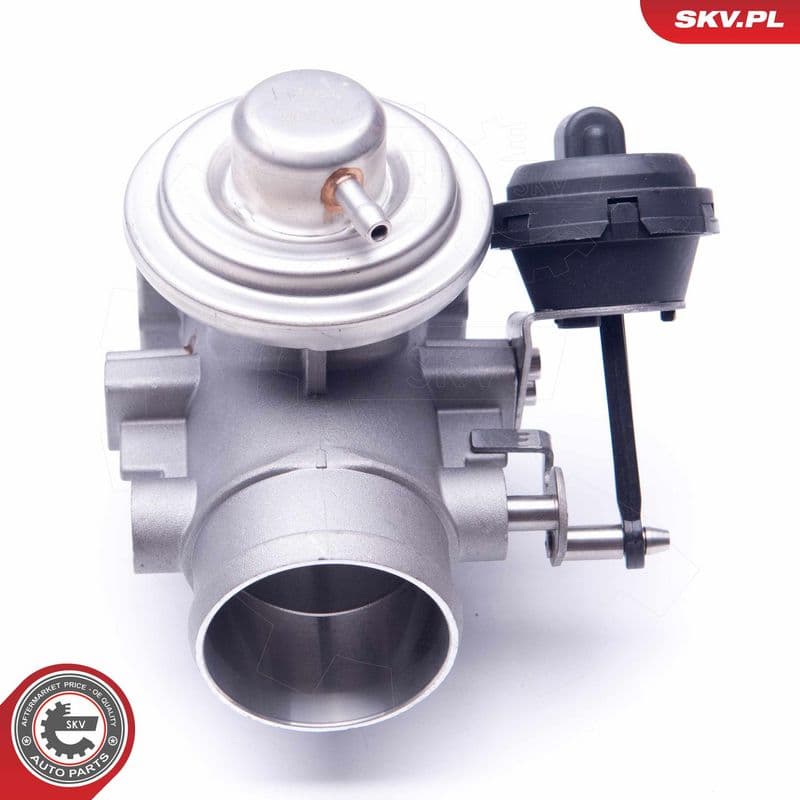 Supapa EGR ESEN SKV 14SKV107